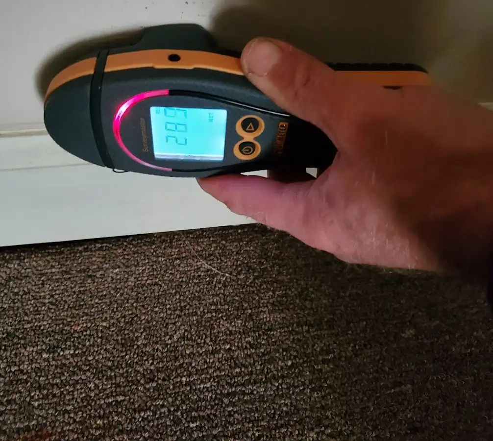 Moisture detection at baseboard during Sewage Cleanup & Sanitation in Triangle